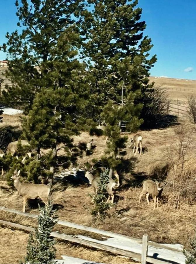 Sundance Suite - Prairie Rose Bed & Breakfast Cheyenne Eksteriør bilde